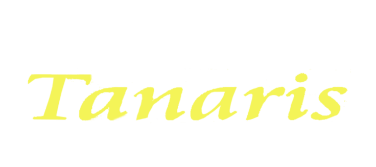 Rental Mobil Palu Tanaris